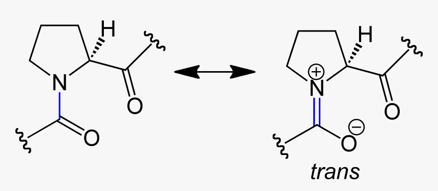 Trans Peptide Bond General Formulae V - Portable Network Graphics, HD Png Download, Free Download