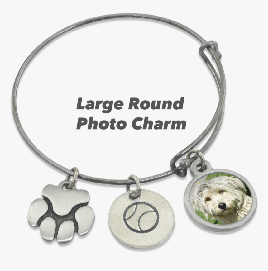 "ball & Paw - Rf Jammer, HD Png Download, Free Download