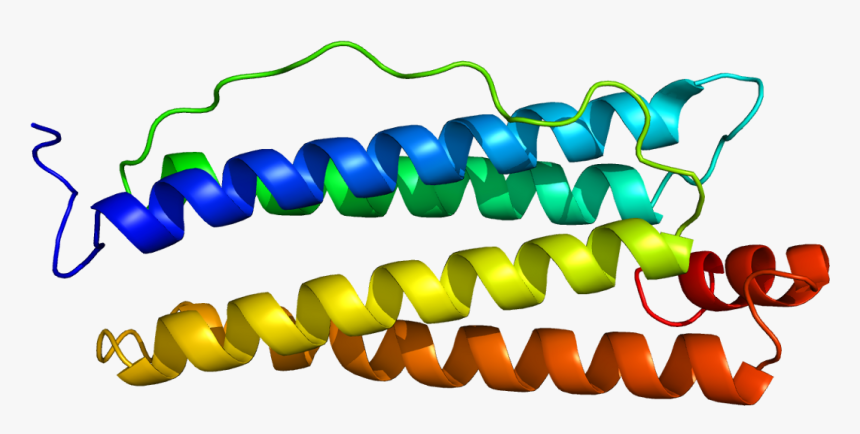 Protein Fth1 Pdb 1fha - Human Heavy Chain Ferritin, HD Png Download, Free Download