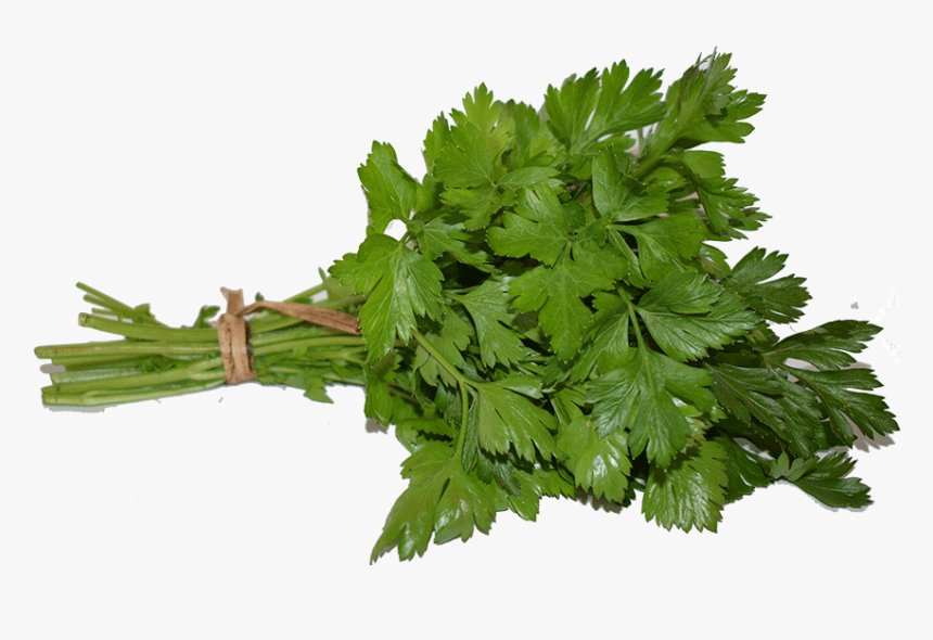 Coriander, HD Png Download, Free Download