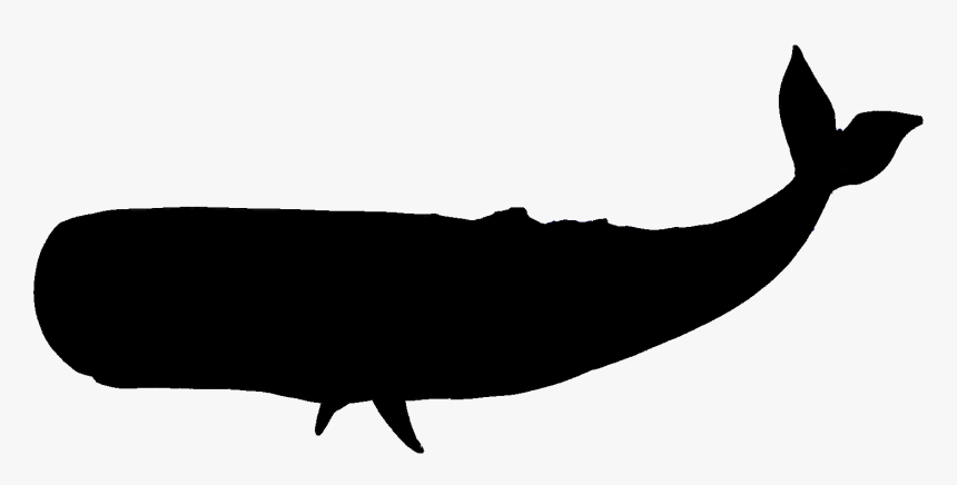 Whale Clipart Silhouette - Blue Whale Silhouette Png, Transparent Png, Free Download