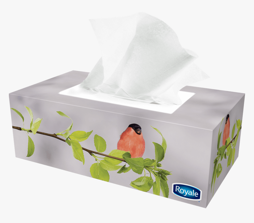 Tissue Box Without Background, HD Png Download, Free Download