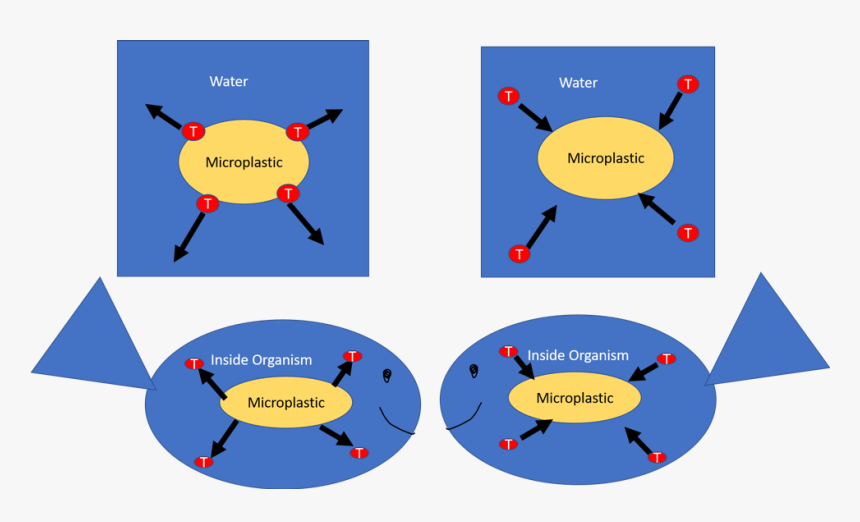 File - Toxicants, HD Png Download, Free Download