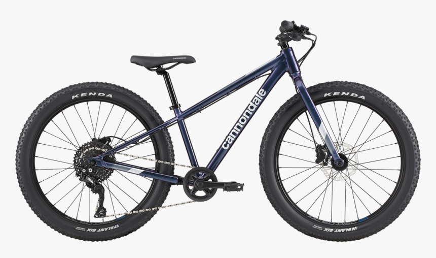 Chameleon - Giant Mountain Bikes 2019, HD Png Download, Free Download