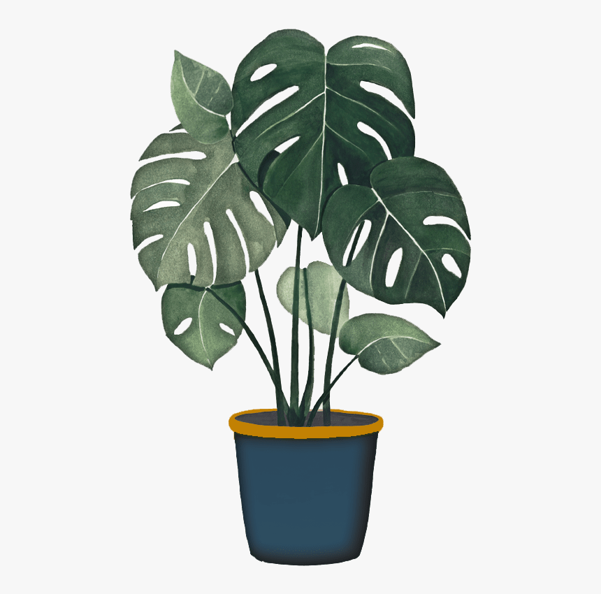 Post Digital Illustration Plants, HD Png Download, Free Download