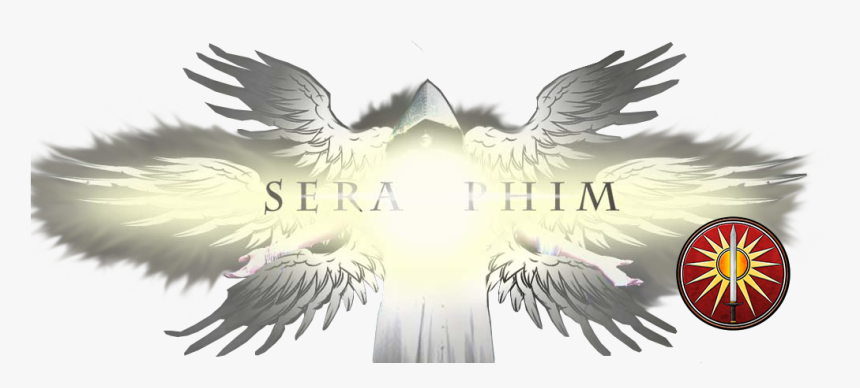 Hawk, HD Png Download, Free Download