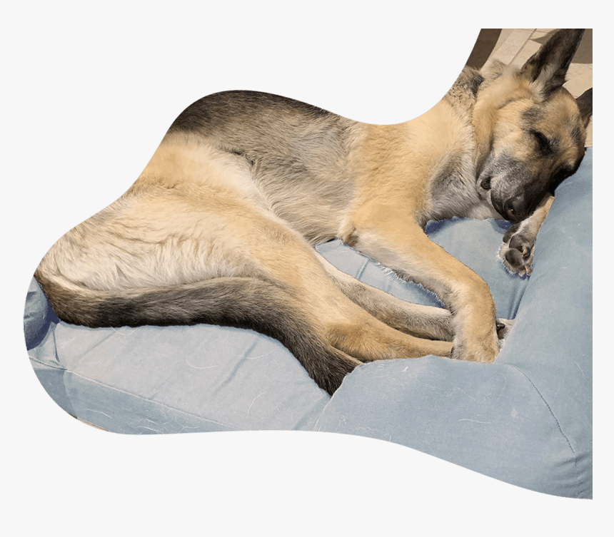 Site Sleeping Dog - Guard Dog, HD Png Download, Free Download