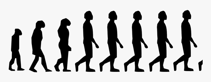 Human Evolution - Human Evolution Timeline, HD Png Download, Free Download