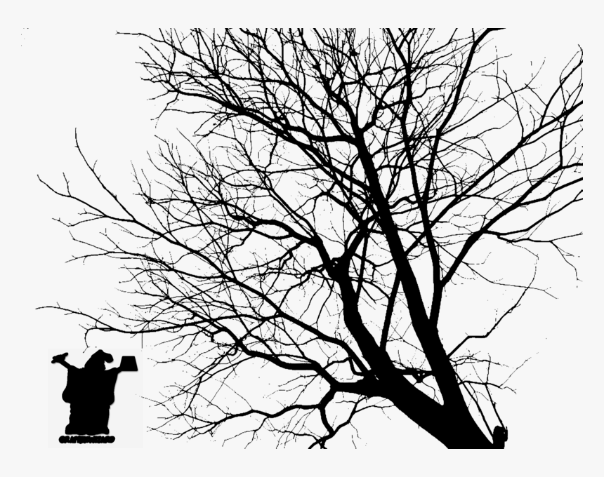 Tree Silhouette Official Psds - Trees Silhouette Psd Psd, HD Png Download, Free Download