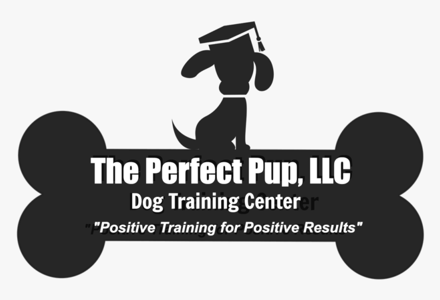 Graphic Design, HD Png Download, Free Download