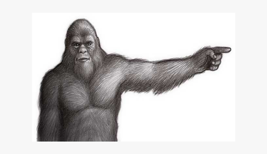 Bigfoot Png Transparent - Bigfoot Blank Background, Png Download, Free Download