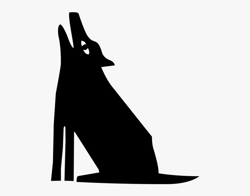 Coyote Update051116 - Coyote, HD Png Download, Free Download