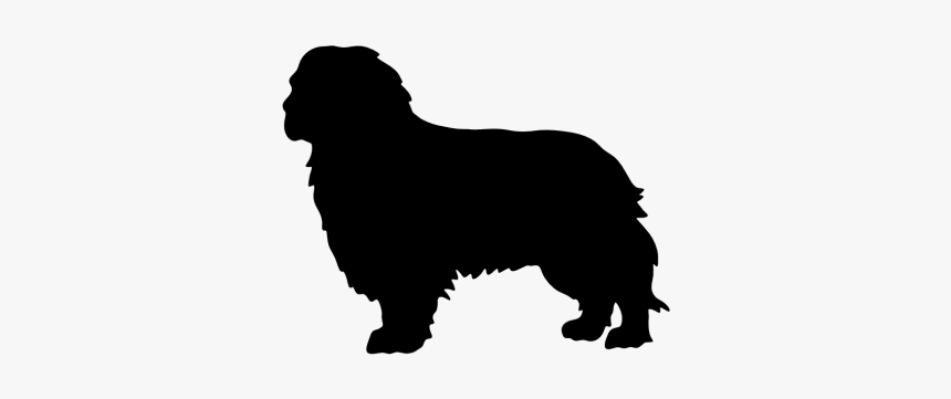 Dog Silhouette Border Collie, HD Png Download, Free Download