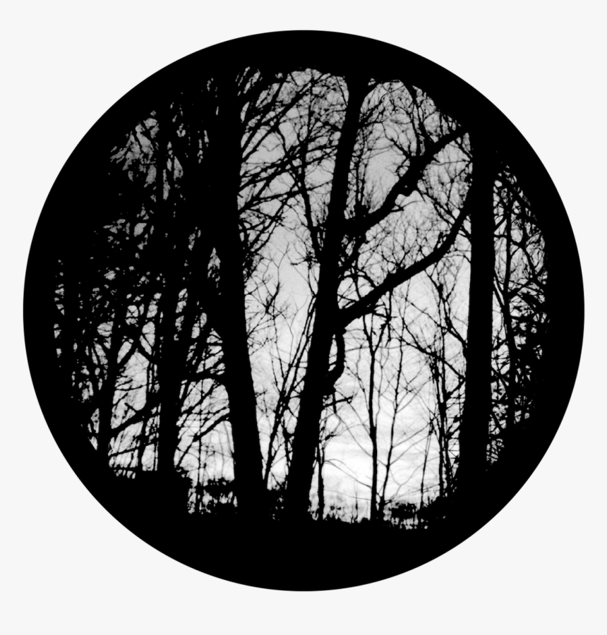 Apollo Eerie Forest - Circle, HD Png Download, Free Download