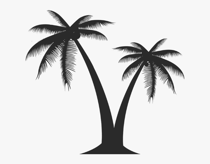 Miami Soul Week Palm Copy - Vector Palm Tree Png, Transparent Png, Free Download