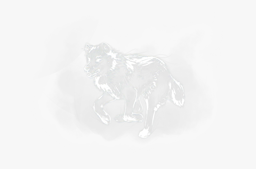 Lion, HD Png Download, Free Download