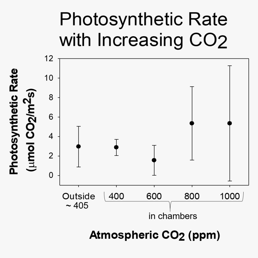 Simple Photosynthesis Equation, HD Png Download, Free Download