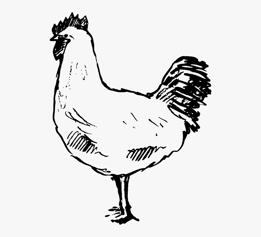 Hen Rubber Stamp - Rooster, HD Png Download, Free Download