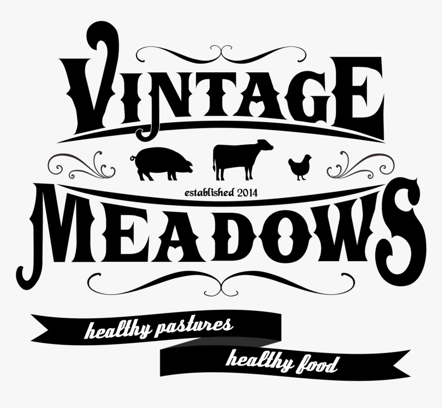 Vintage Chicken Png - Free Vintage Fonts Farming, Transparent Png, Free Download