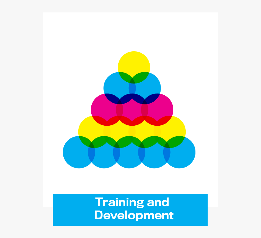 Training And Development - Graphic Design, HD Png Download, Free Download