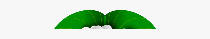 Plant,leaf,tree - Palm Tree, HD Png Download, Free Download