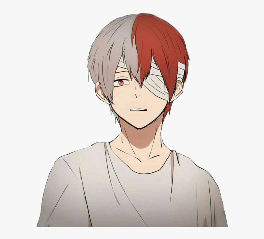 Gambar todoroki