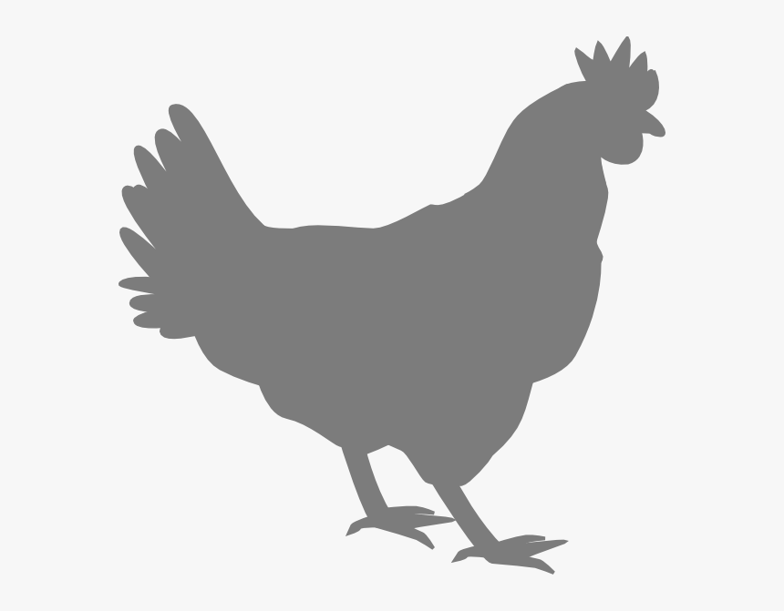 Grey Chicken Svg Clip Arts - Vector Chicken Silhouette Png, Transparent Png, Free Download