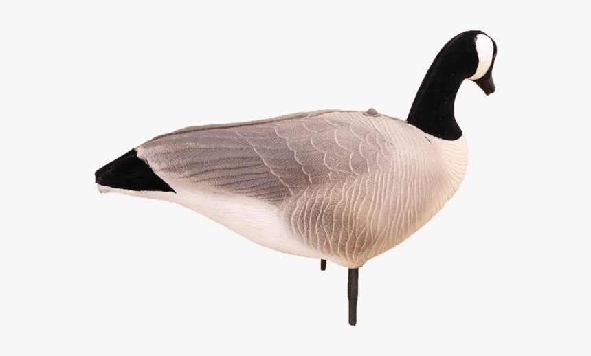 Canada Goose, HD Png Download, Free Download