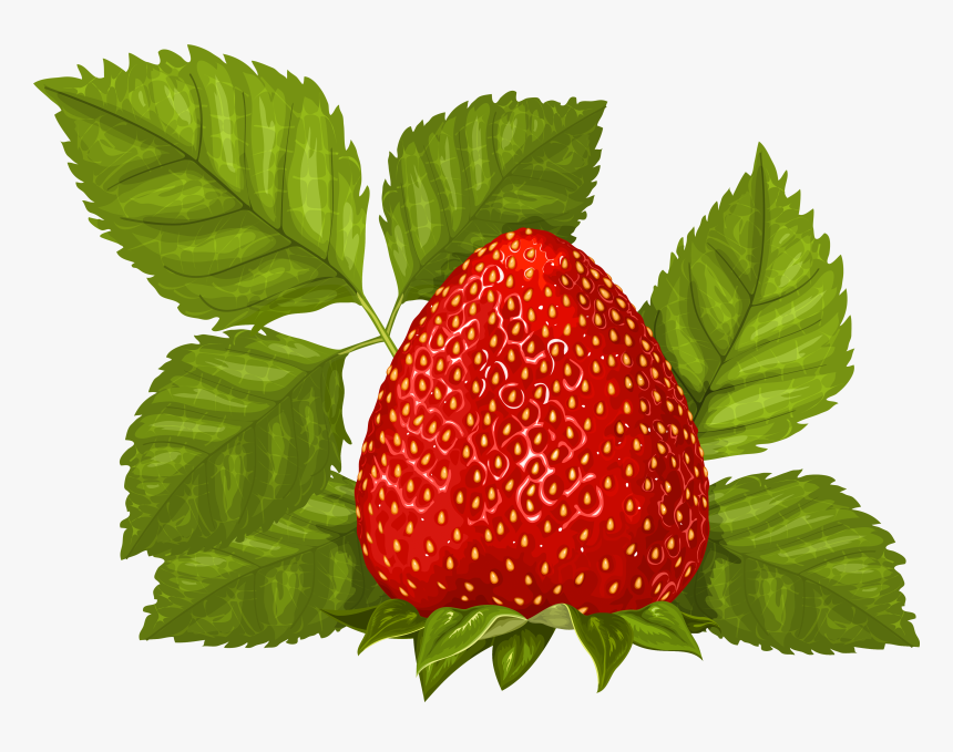 Strawberry With Leaves Png Clipart Picture - Малина Рисунок Пнг, Transparent Png, Free Download