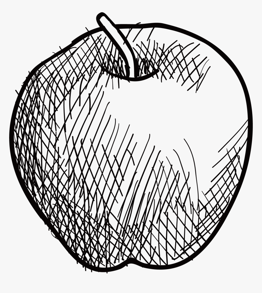 Drawing Apple Sketch - Drawing Apple Sketch Png, Transparent Png, Free Download