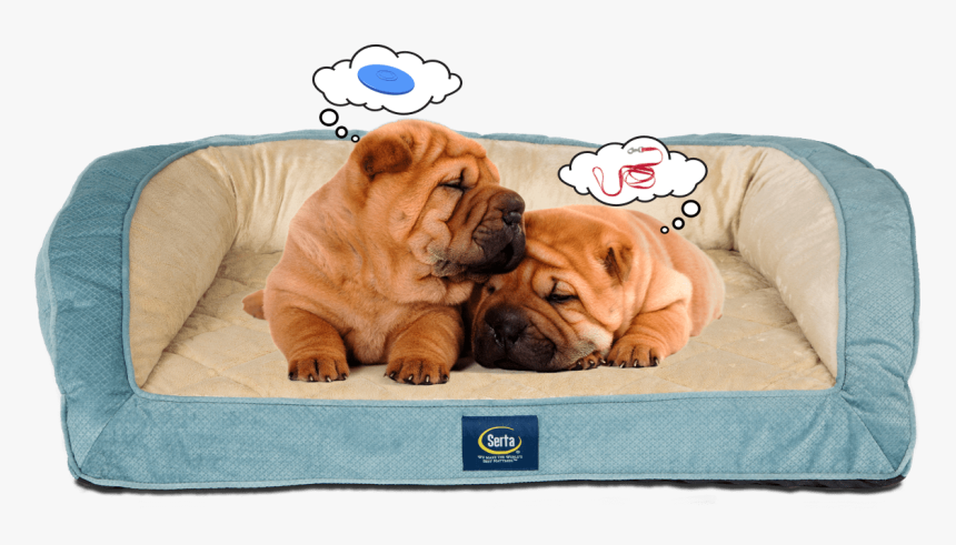 Two Puppies Sleeping On Serta Pet Bed Dreaming - Shar Pei, HD Png Download, Free Download