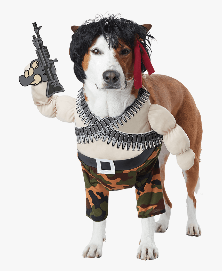 Rambo Dog Costume, HD Png Download, Free Download