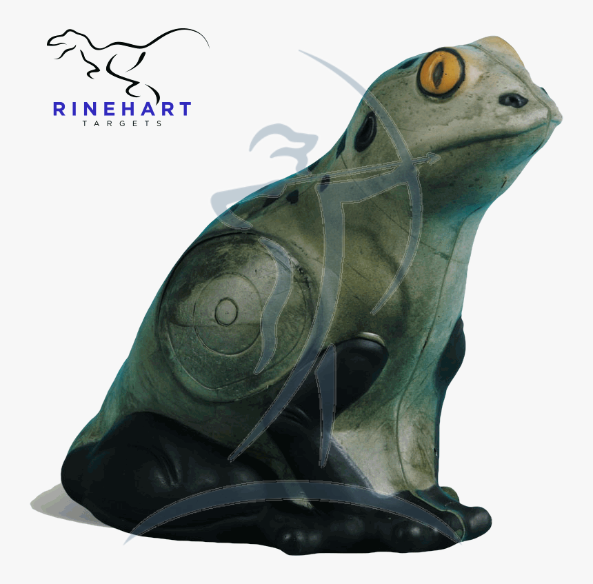 Rinehart Green Frog - Rinehart Targets, HD Png Download, Free Download