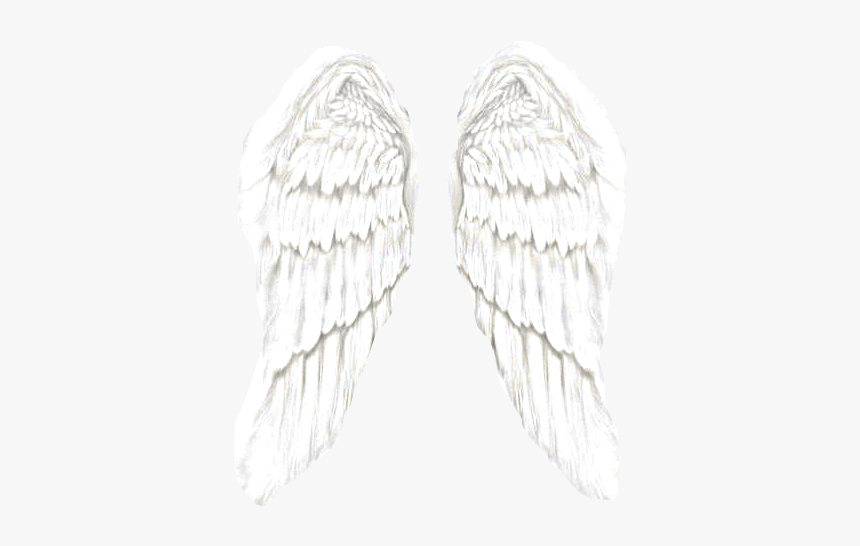 Angel Wings, HD Png Download, Free Download