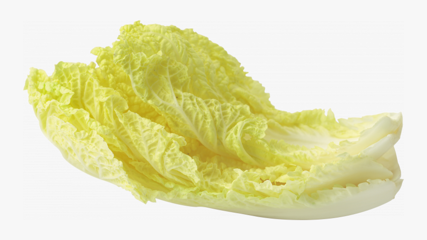 Download And Use Salad Png Image Without Background - Lettuce Yellow Leaf Png, Transparent Png, Free Download
