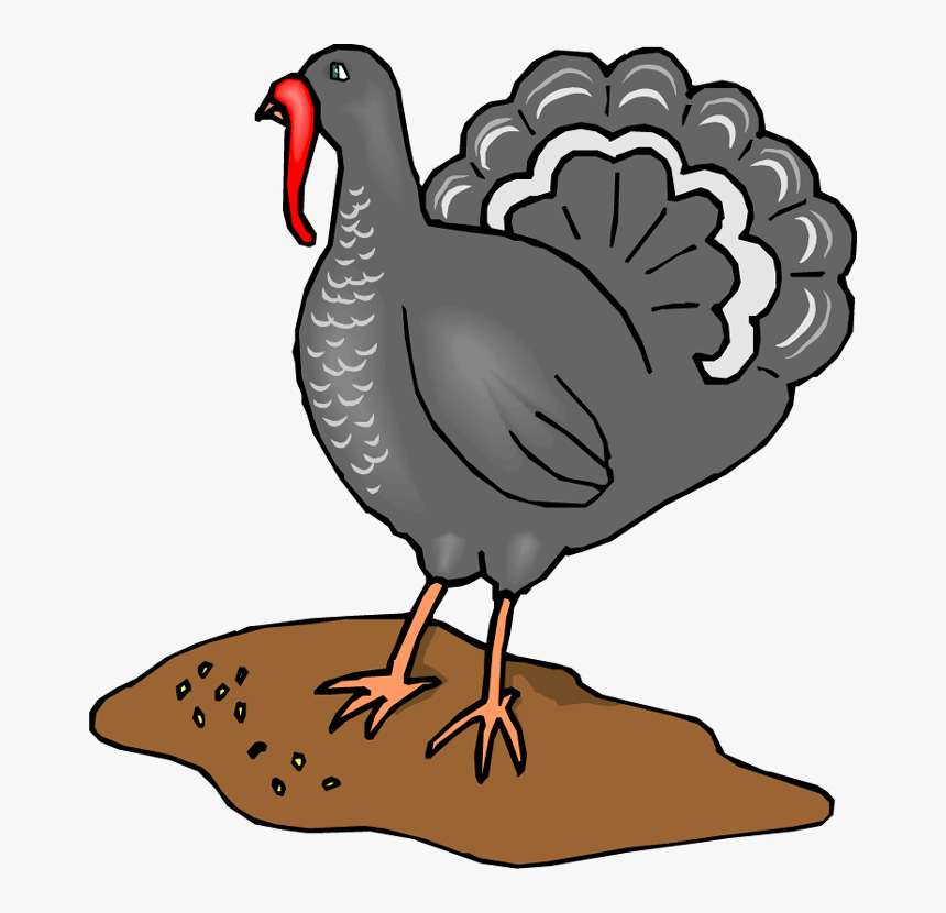 Evil Turkey Clipart Png Royalty Free Library Free Turkey - Grey Turkey Clipart, Transparent Png, Free Download