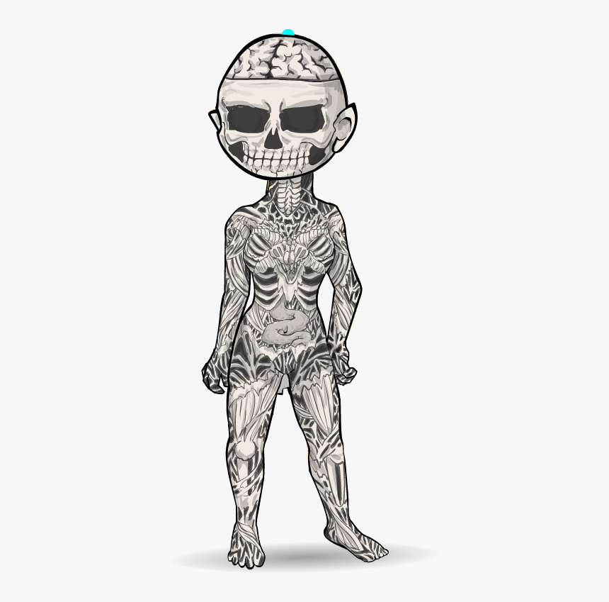 X-ray, HD Png Download, Free Download