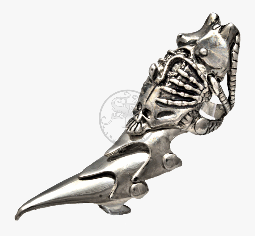 Armor Ring / Gothic Knuckle Ring - Parrot, HD Png Download, Free Download
