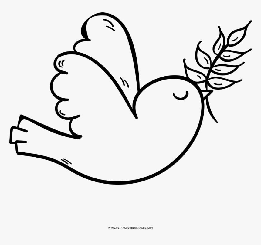 Transparent Pajaro Png - Passaro Desenho Para Colorir, Png Download, Free Download