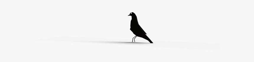 Fish Crow, HD Png Download, Free Download