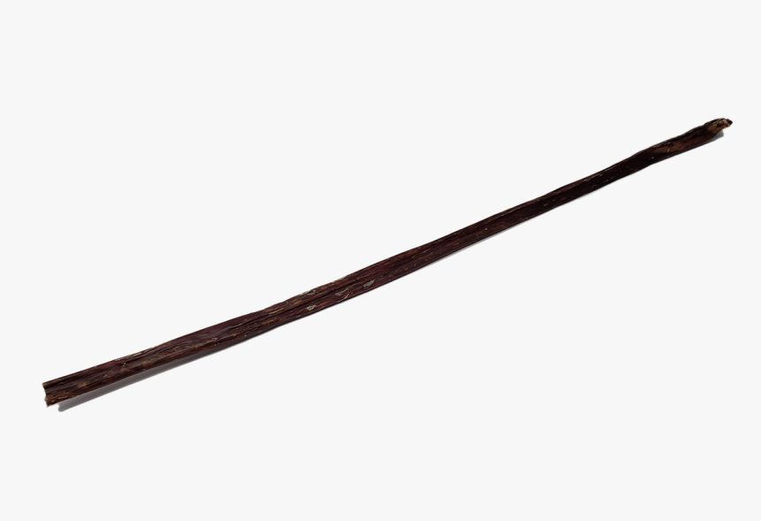 Full Length Esophagus Stick 28" "
 Class= - Pencil With Rubber, HD Png Download, Free Download
