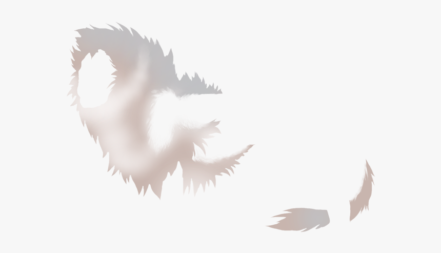 Seabird, HD Png Download, Free Download