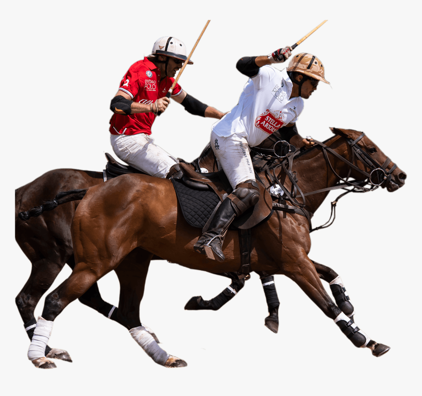 Portsea Polo - Polo, HD Png Download, Free Download