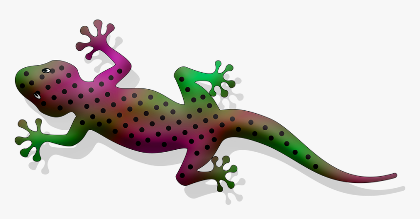 Gecko Clipart, HD Png Download, Free Download