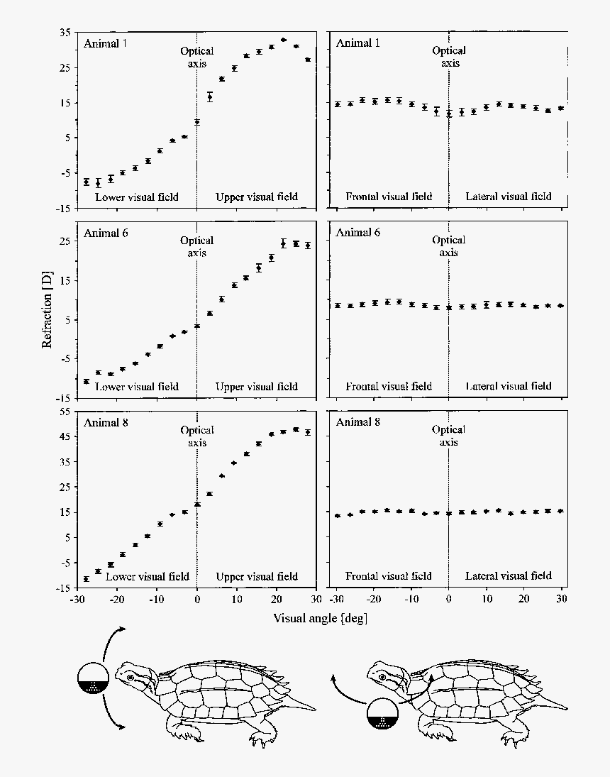 Diagram, HD Png Download, Free Download