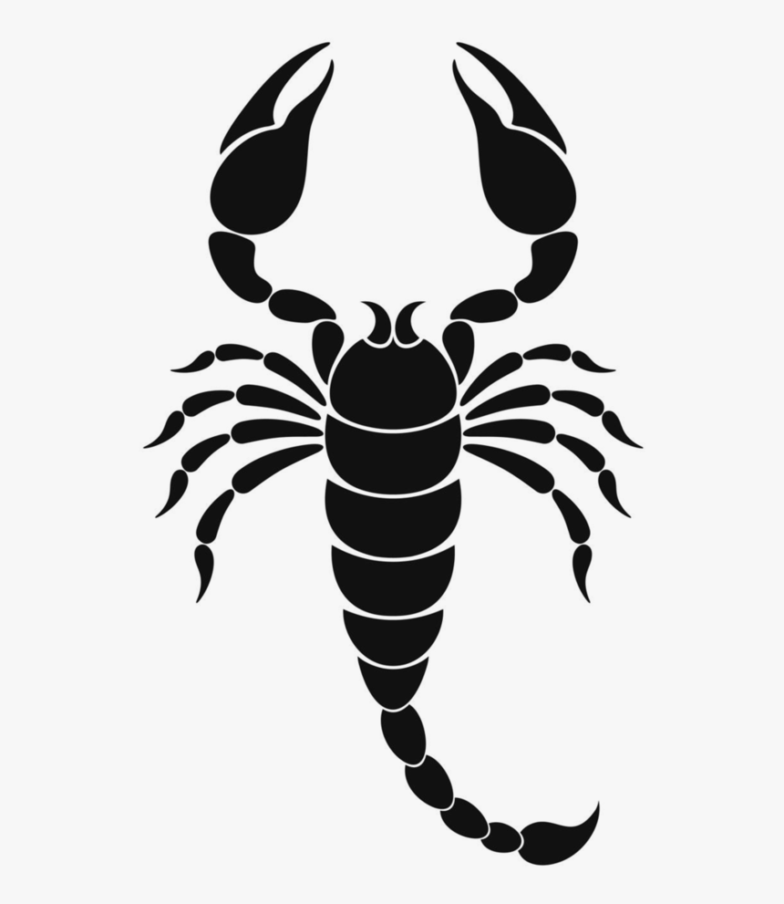 Zodiac Drawing Scorpion - Scorpions Clipart, HD Png Download, Free Download