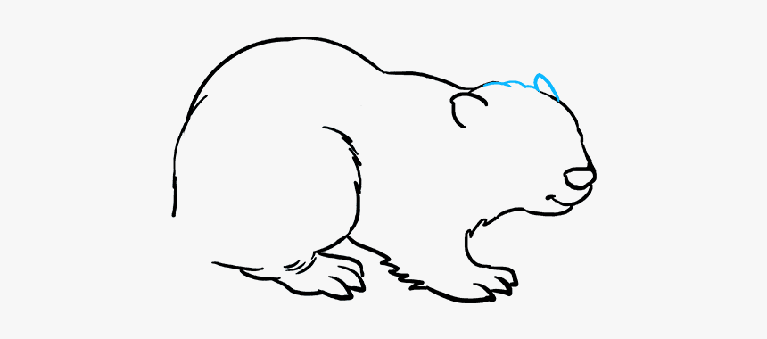 How To Draw Beaver - Sketch, HD Png Download, Free Download
