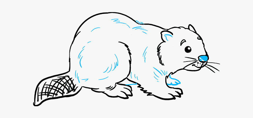 How To Draw Beaver - Draw A Beaver, HD Png Download, Free Download