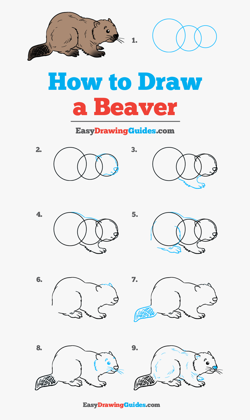 How To Draw Beaver - Easter Egg Drawing Easy, HD Png Download, Free Download