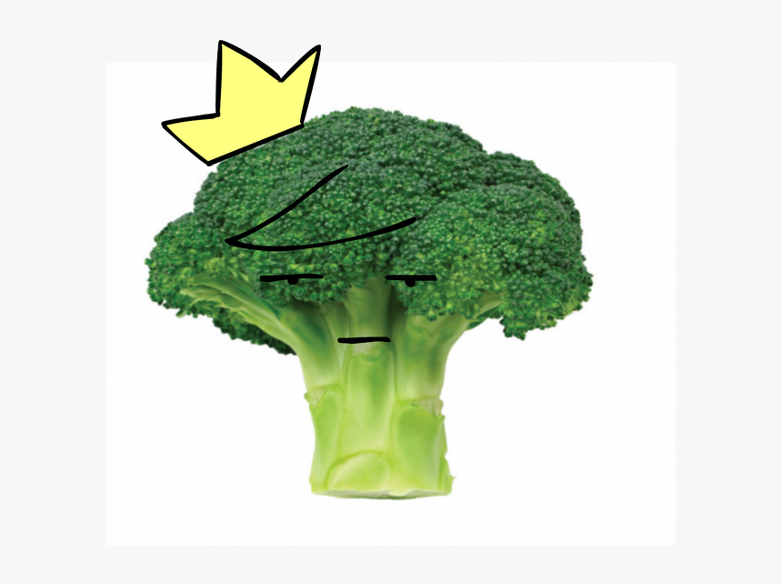 Broccoli, HD Png Download, Free Download